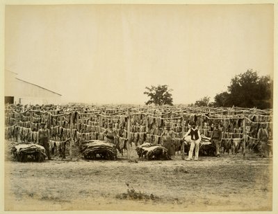 Drying leather, Argentina by Samuel Boote